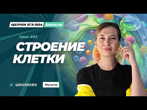 Видео: Щелчок по Биологии 2024| Строение клетки. Органоиды.