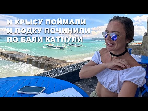 Видео: КАПИТАН ГЕРМАН I ЖИЗНЬ НА БАЛИ. Ловим крысу на яхте. Дина спасает птичку. Проехались по острову