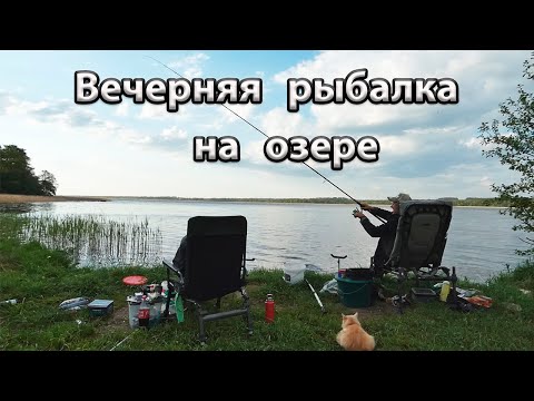 Видео: Вечерняя ловля подлещика