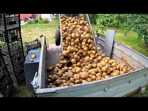 Видео: А КТО ЗНАЛ обороты  КАРТОФЕЛЕКОПАЛКИ и скорость мотоблока?