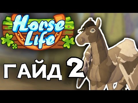 Видео: ГАЙД/СОВЕТ ДЛЯ НОВИЧКА 2 [Horse Life]