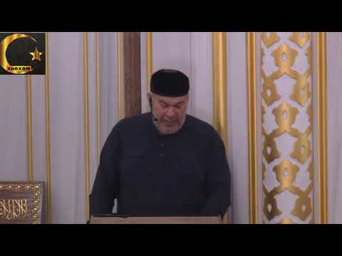Видео: Асвад Хареханов: Хьаким Бин Хьазам Пайхмарин Асхьаб صلى الله عليه وسلم