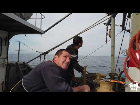 Видео: Риболовен кораб "ПРИЯТЕЛ" - Царево.