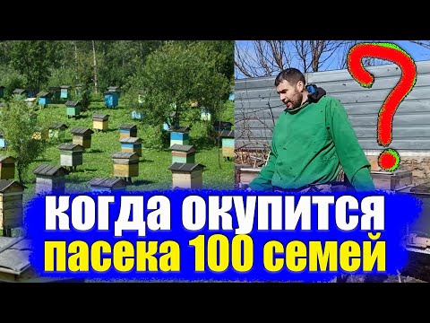 Видео: Бизнес - план пасека 100 (ульев) семей пчел