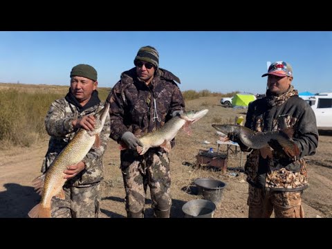 Видео: ТОРГАЙ!!! В 1000КМ ОТ ДОМА!!! СОРЕВНОВАНИЯ ГРУППА РЫБАКИ КАЗАХСТАНА!! 