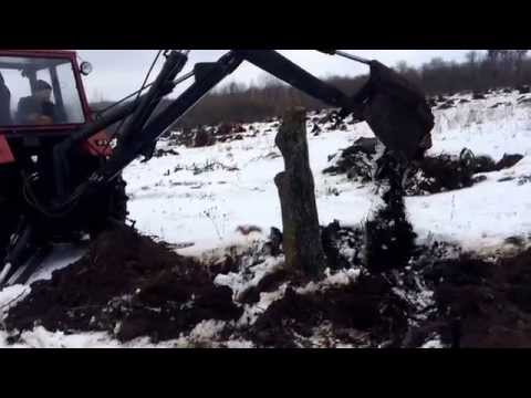 Видео: Экскаватор ЮМЗ, корчует сад