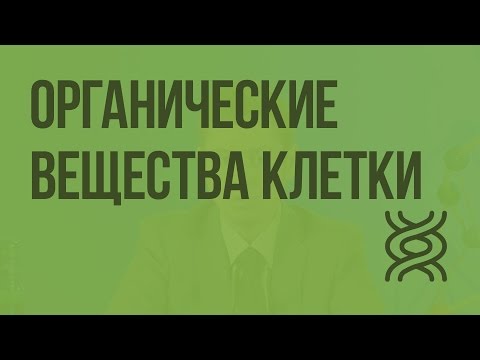 Видео: Биология 9 класс. Органические вещества клетки