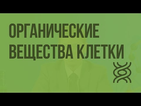 Видео: Органические вещества клетки. Видеоурок по биологии 9 класс