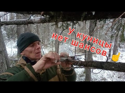 Видео: охота на куницу / взводим капканы