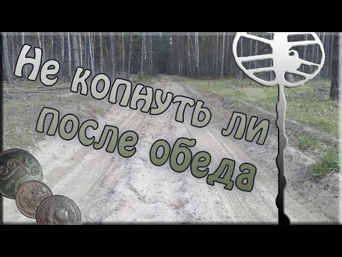 Видео: Не сидится на карантине. Коп в лесу Фортуна М3.