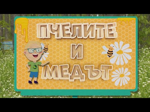 Видео: Пчелите и медът - "Уча, зная и играя" - 15.09.2024  по БНТ