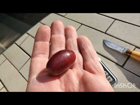 Видео:  гф.  Ш А К І Р А  🍇👍🤠