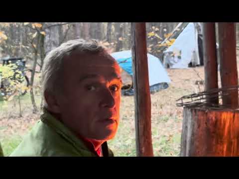 Видео: Золотая осень