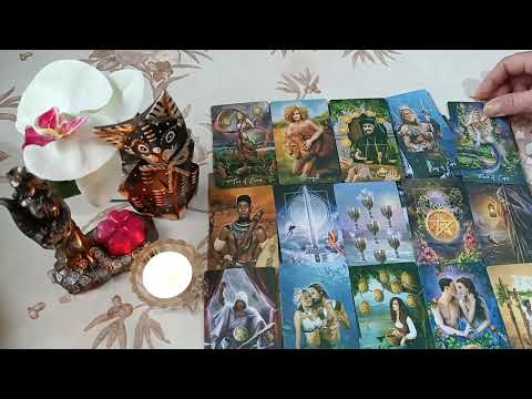 Видео: Със съперницата е свършено🪃🔥💣