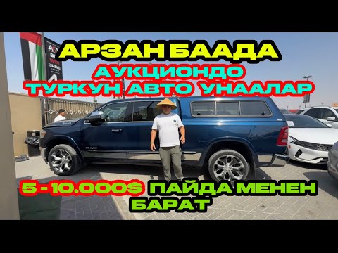 Видео: АРЗАН БААДА , АУКЦИОНДО ТУРКУН АВТО УНААЛАР , 5-10.000 $ ПАЙДА МЕНЕН БАРАТ
