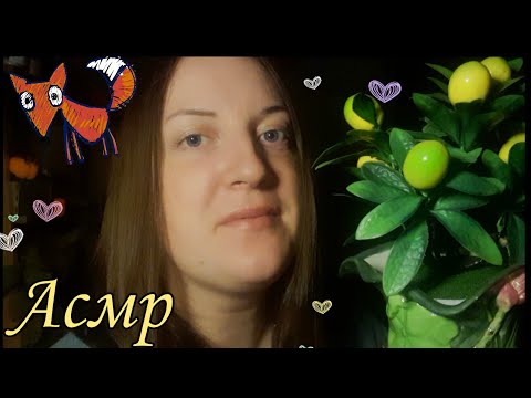 Видео: АСМР Уложу тебя спать💤 / Масочка🧖‍♀️, крем и Сказка на ночь🥰