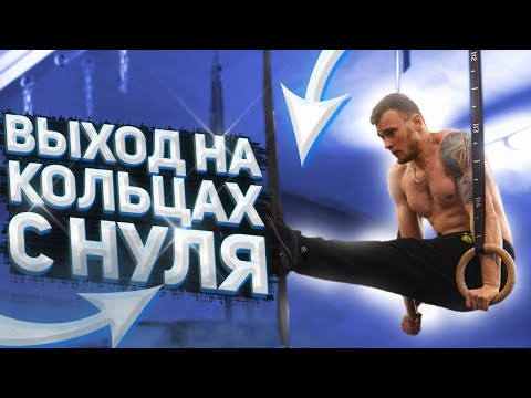 Видео: ВЫХОД СИЛОЙ НА КОЛЬЦАХ С НУЛЯ ПО ШАГАМ