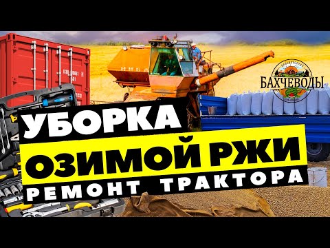 Видео: Уборка Ржи 🌾🌾🌾 05 08 22