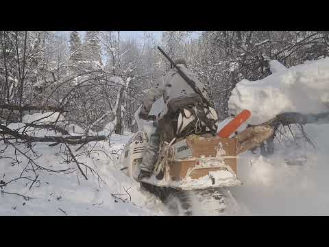 Видео: Пробираюсь на дальнее  зимовье. Следы на снегу, о чём  они говорят?