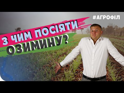 Видео: З ЯКИМ ДОБРИВОМ ПОСІЯТИ ОЗИМИНУ? АгроФіл