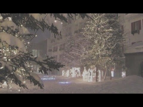Видео: ||реакция король школы - мой враг на тт||