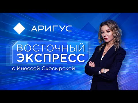 Видео: Что будут делать с голодными собаками в Улан-Удэ? | Восточный экспресс | Новости Бурятии