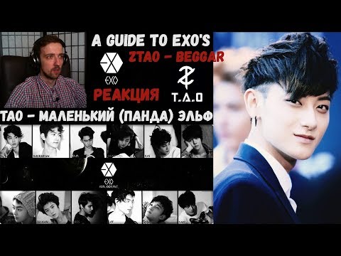 Видео: ТАО - МАЛЕНЬКИЙ (ПАНДА) ЭЛЬФ | Z.TAO | A Guide To - Kris,Luhan,and Tao x2 | ZTAO - Beggar | РЕАКЦИЯ