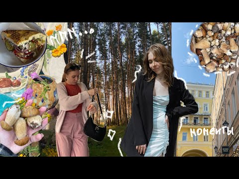 Видео: VLOG: Итог лета | ДНЕВНИК моментов