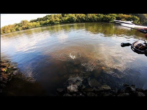 Видео: МикроДжиг. Окуни и Судаки. Совместный Выезд На КИМ.#микроджиг#fishing #рыбалкавмоскве