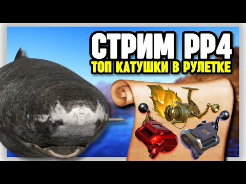 Видео: 🔴 СТРИМ РР4┃🔥РЫБАЛКА на НОРВЕЖСКОМ МОРЕ┃🎁 РАПТОР и ВЕНГА в рулетке┃maXS1k