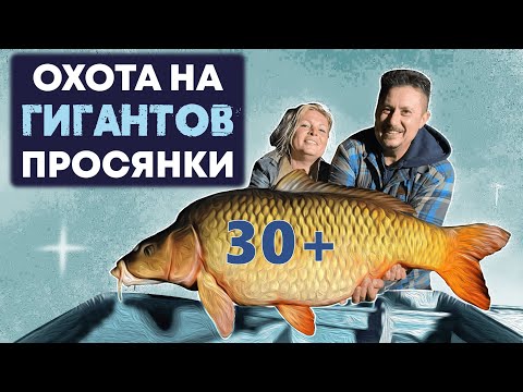 Видео: Карп 30+. Охота на гигантов Просянки вместе с Mad Carp. Фильм.