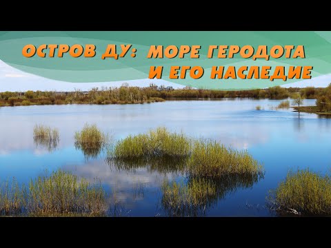 Видео: Море Геродота в Беларуси – Полесская Амазония | Остров Ду с Еленой Вахромеевой. Добры канал