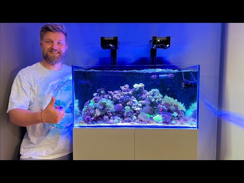 Видео: ПЕРЕЕЗД АКВАРИУМА В БОЛЬШИЙ ОБЪЕМ