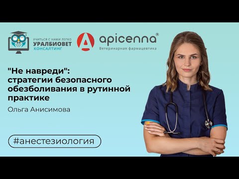 Видео: “Не навреди”: стратегии безопасного обезболивания в рутинной практике. Лектор Ольга Анисимова