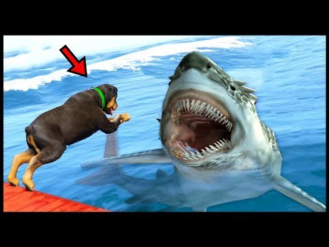 Видео: Чоп акуланың ауызына түсіп кетті | GTA 5