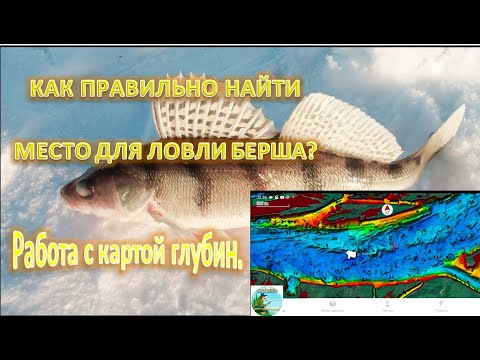 Видео: Работа с картой глубин. Как правильно найти место для ловли Берша?