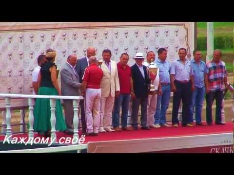 Видео: ЦМИ.Ипподром.Лучшие из лучших.М.В.Козлов.