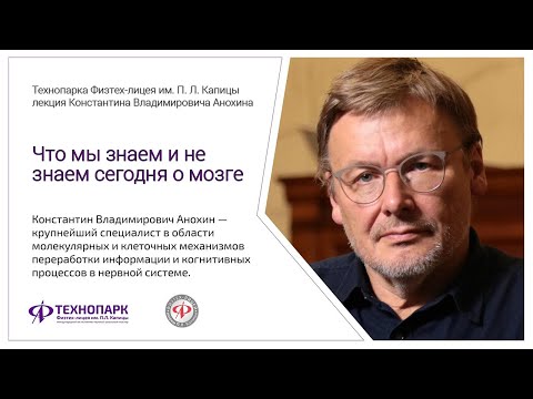 Видео: Что мы знаем и не знаем сегодня о мозге. Константин Анохин