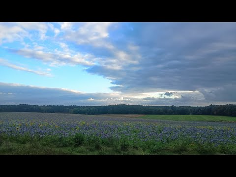 Видео: На місці старого хутора