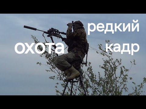 Видео: ОХОТА НА КОЗЛА ГОН МАНОК СУПЕР КАДРЫ, ЛЕГЛИ ПОД КОЛЕНКУ