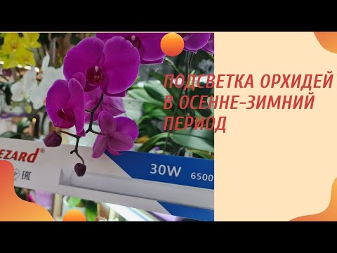 Видео: Подсветка орхидей в осенне-зимний период. Выбор лампы. Досветка орхидей.