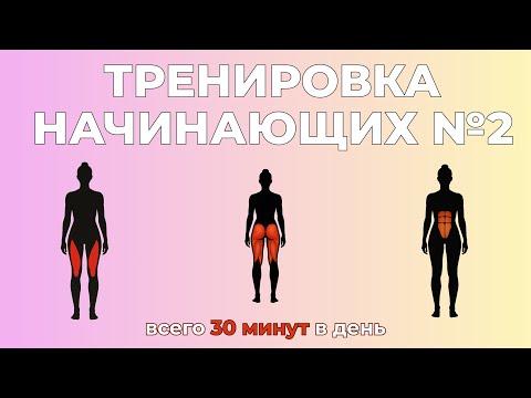 Видео: Тренировка начинающих №2