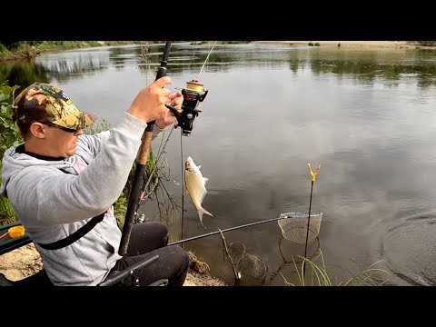 Видео: Фидер в июне. Рыбалка на реке Десна