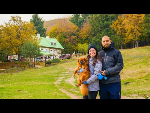 Видео: ЖИВОТ НА СЕЛО: Първо палене на печка 🔥 + Рожден ден в ПЛАНИНАТА | Двама млади на село | Boho Soulz