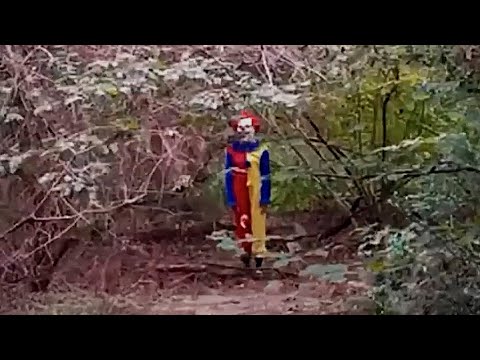 Видео: 6 Самых Жутких Встреч в Лесу Снятых На Камеру