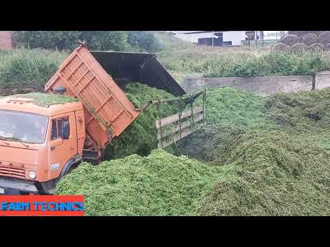 Видео: Вспашка Бюлер + Карат 9. ДОНы на заготовке силоса и сенажа.