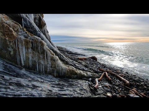 Видео: Симфония моря