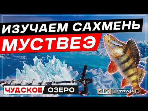 Видео: Муствеэ Изучаем САХМЕНЬ Чудское озеро зимняя рыбалка