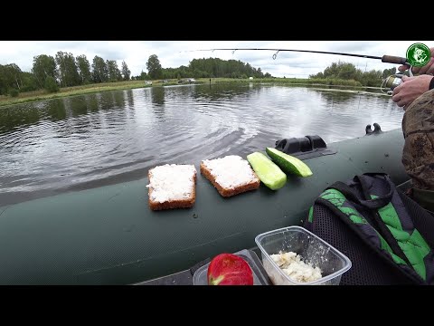 Видео: ОСЕННЯЯ РЫБАЛКА НА НЕЙВЕ! ЩУКА НА СПИННИНГ С ЛОДКИ ПО РЕКЕ И НА ВЫРАБОТКАХ, РЫБАКИ ПО ВСЕМ БЕРЕГАМ!