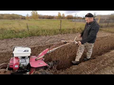 Видео: осенняя вспашка мотоблоком.утоптанной почвы часть 1